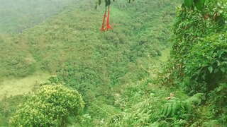 کولمبیا کے جنگل میں دینے کے لئے کی زبان اور آخر اجنبیوں کے ساتھ جنسی تعلقات کے بدلے میں مالی مدد.