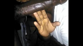 Το μεσημέρι κεφάλι από τον καναπέ