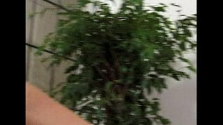 ���มโทร-เลสเบี้ยนเซ็กส์-เกิดเหตุ 8-คลายแฟ้ม 2